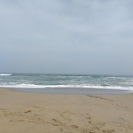 Saint Cyprien - Appart - Piscine-Mer Buitenkant foto